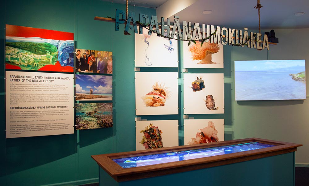 Papahānaumokuākea Exhibit at the Maui Ocean Center
