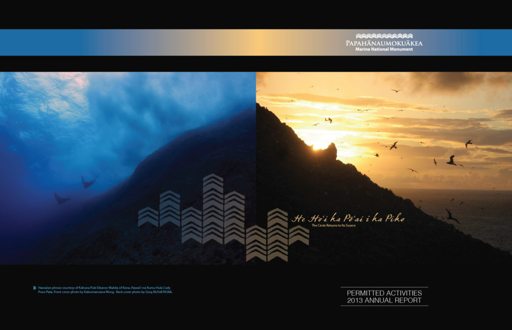 Permitted Activities Report Cover (front and back)