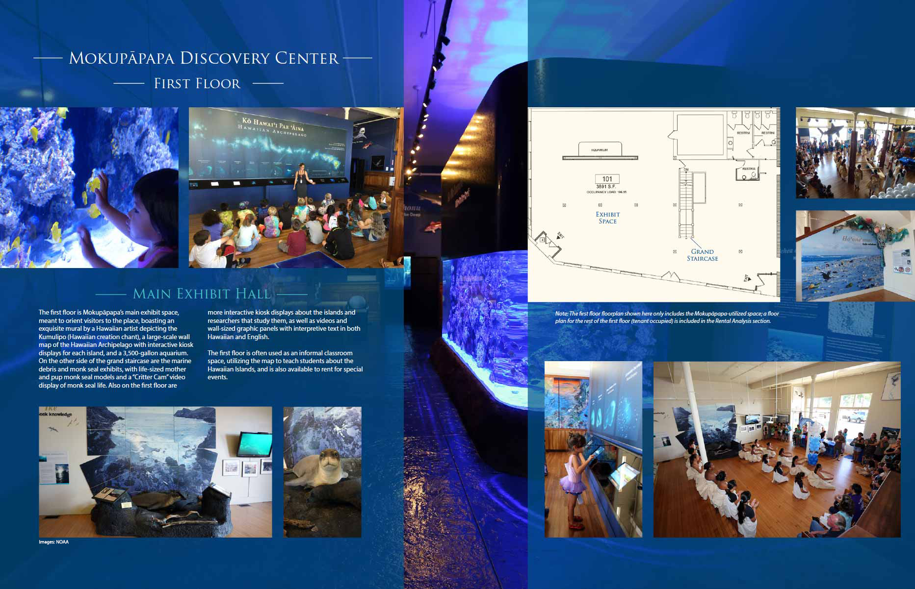 Mokupāpapa Discovery Center Brochure