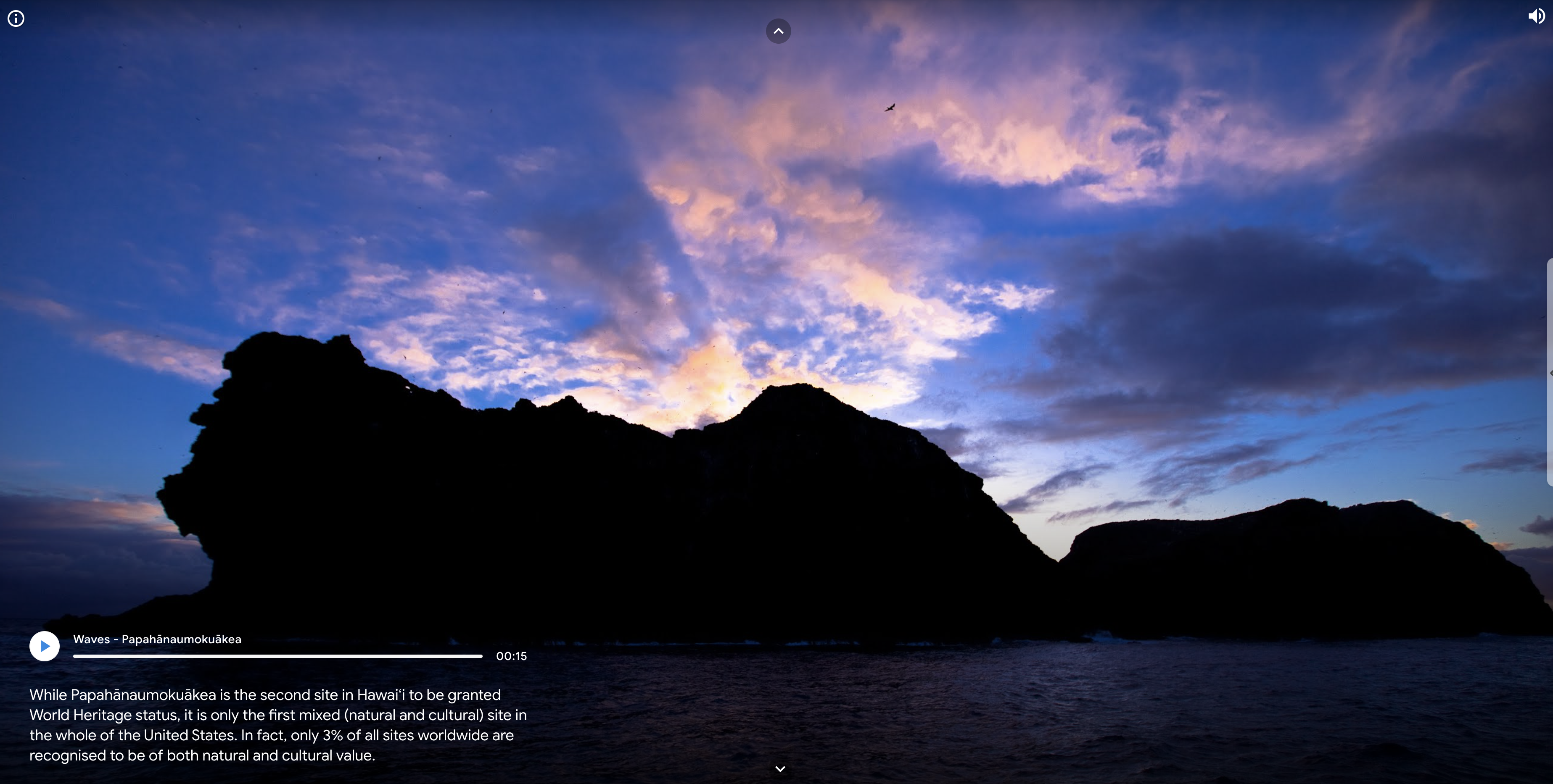 Google Arts and Culture Storymap