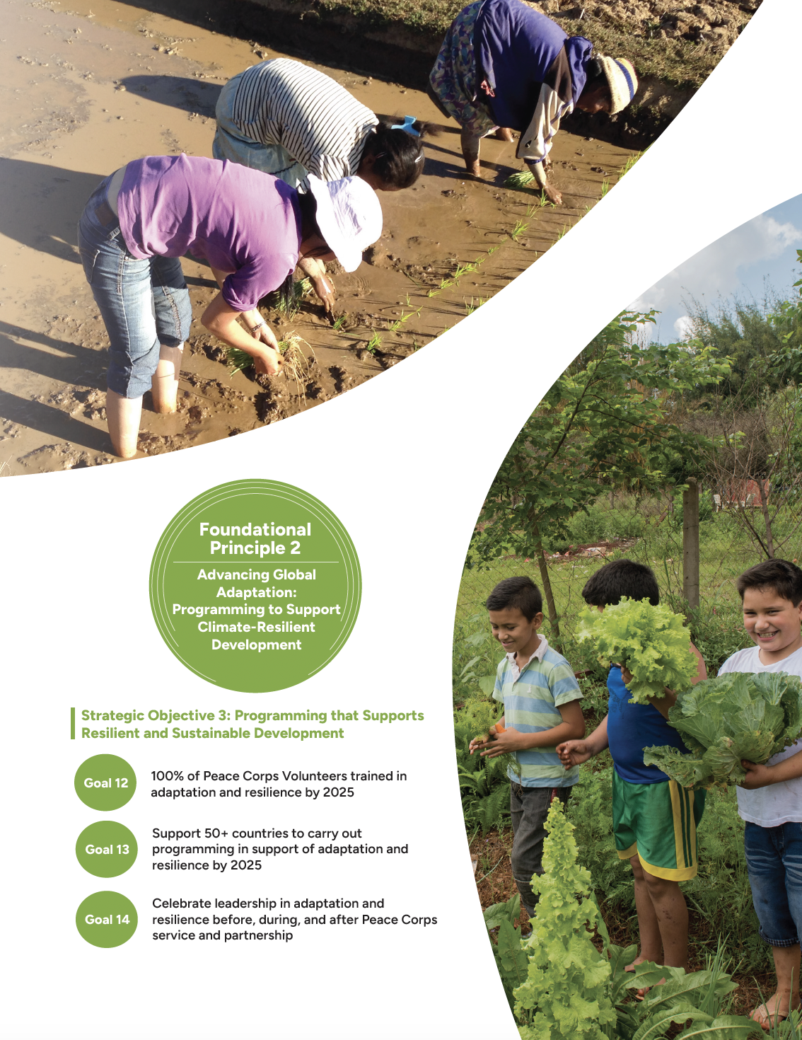 Climate Strategy Executive Summary 